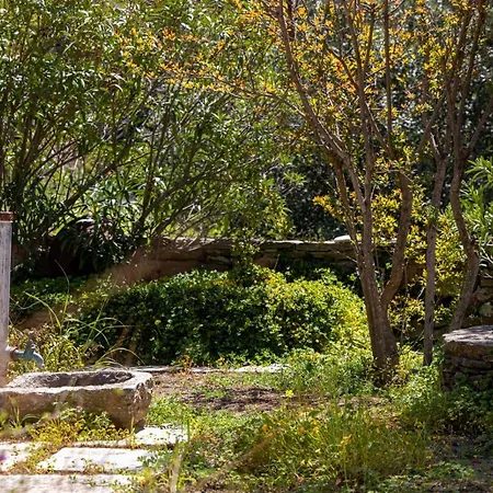 Holiday home Traditional Tinos Olive Mill House